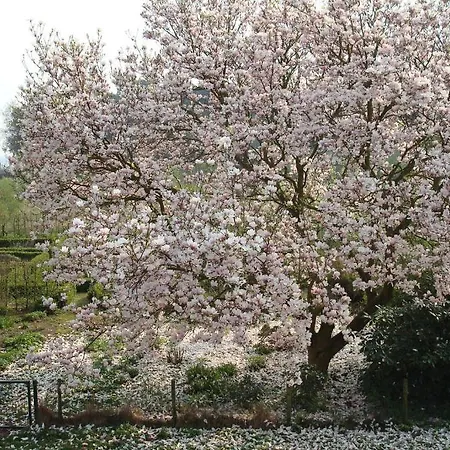 Hoeve Roozendael Bed & Breakfast *